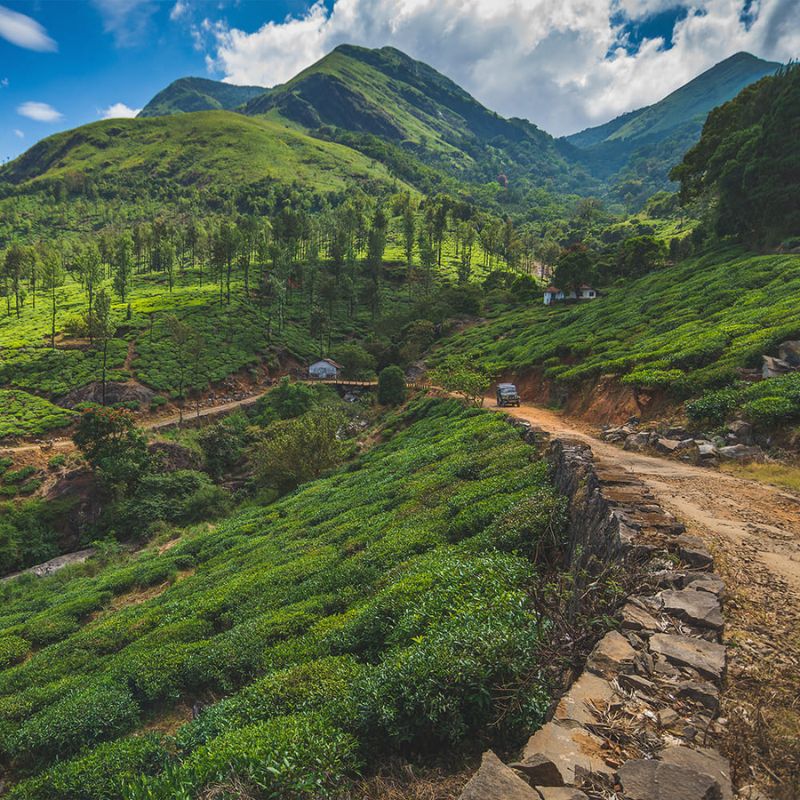 Wayanad Kerala tourism destination with hills and forests