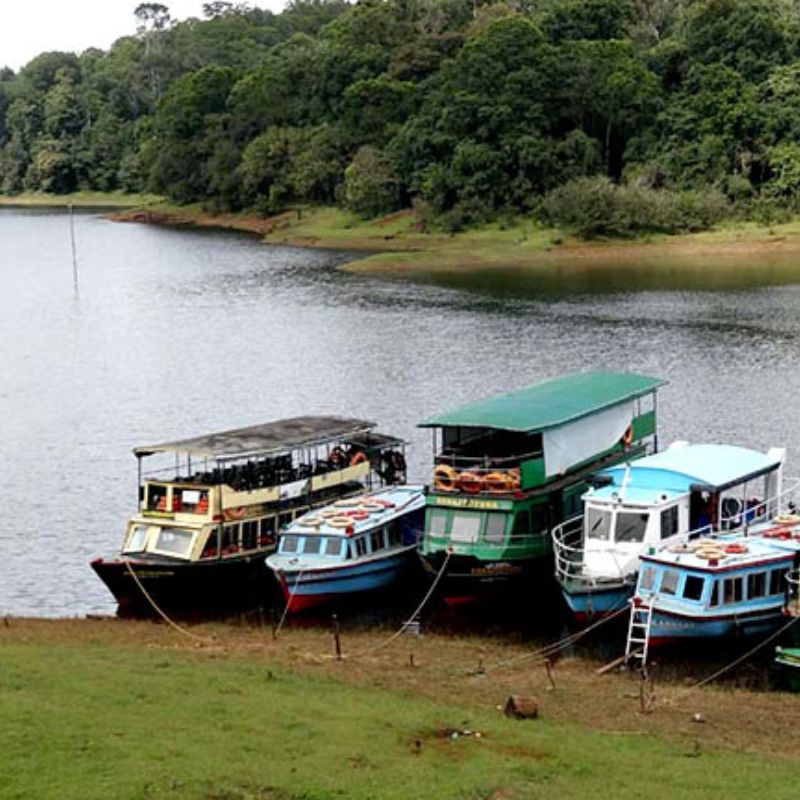 Thekkady Kerala tourism destination famous for wildlife and nature